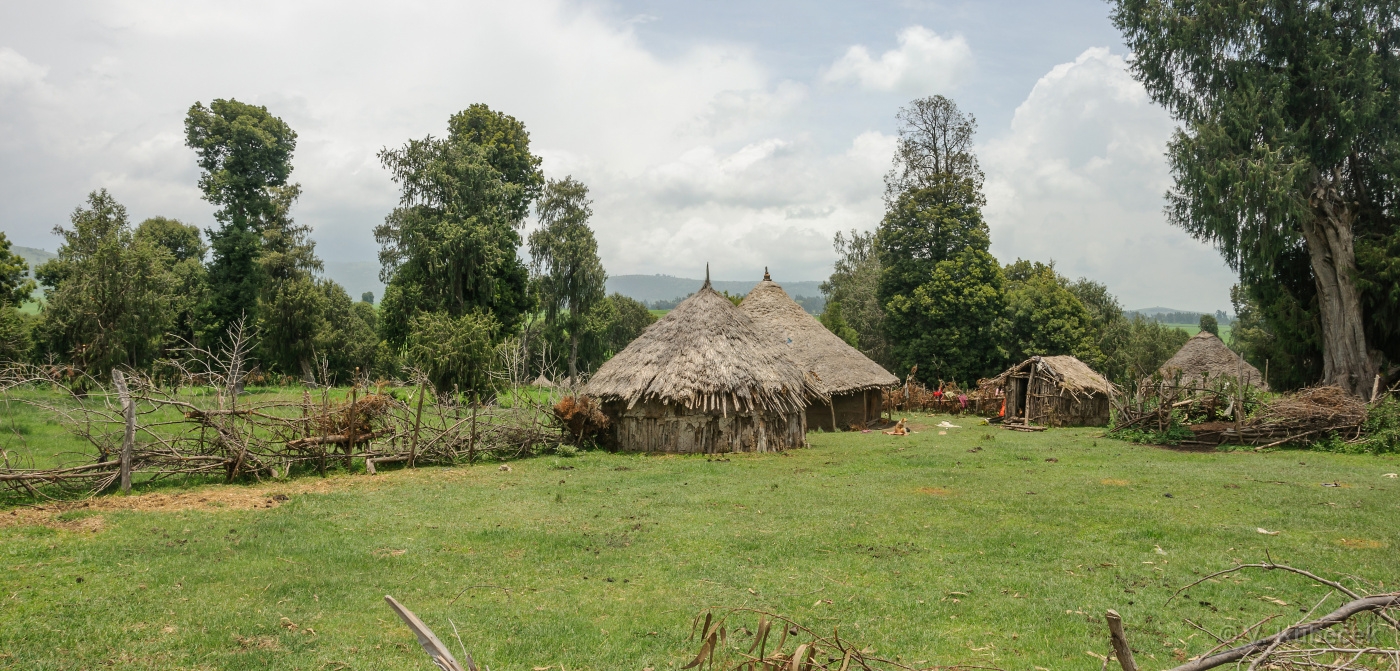 [Group 38]-DSC 7542 DSC 7543-2 images